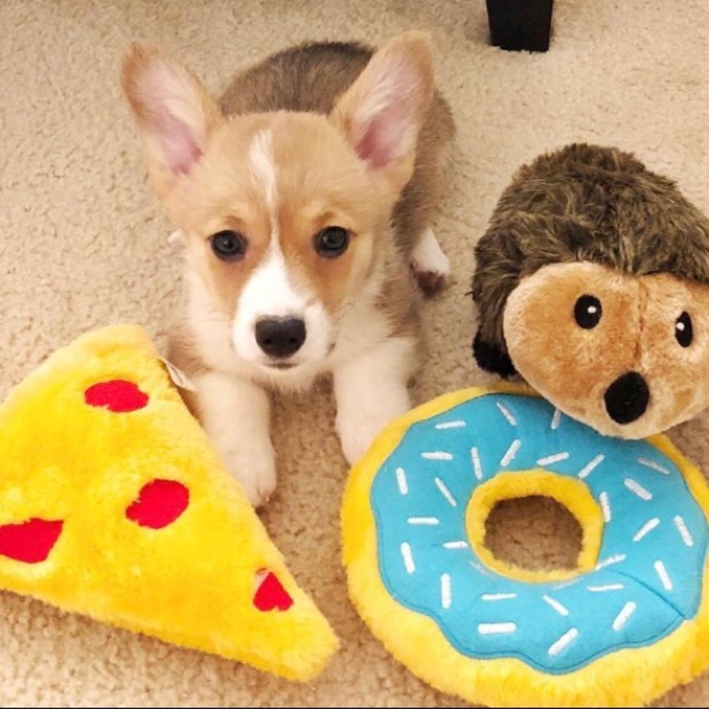 Meet your Posher, Kelly